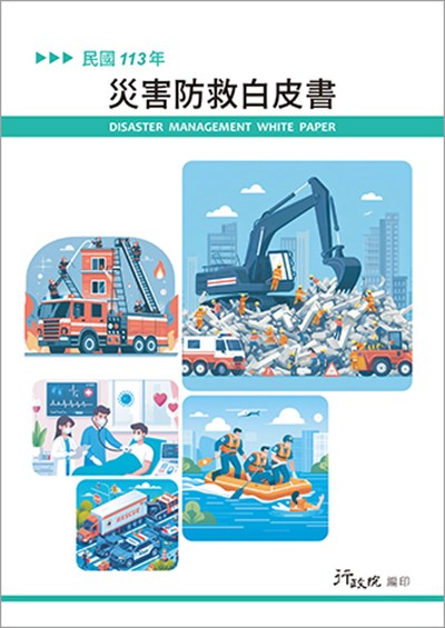 113年白皮書封面